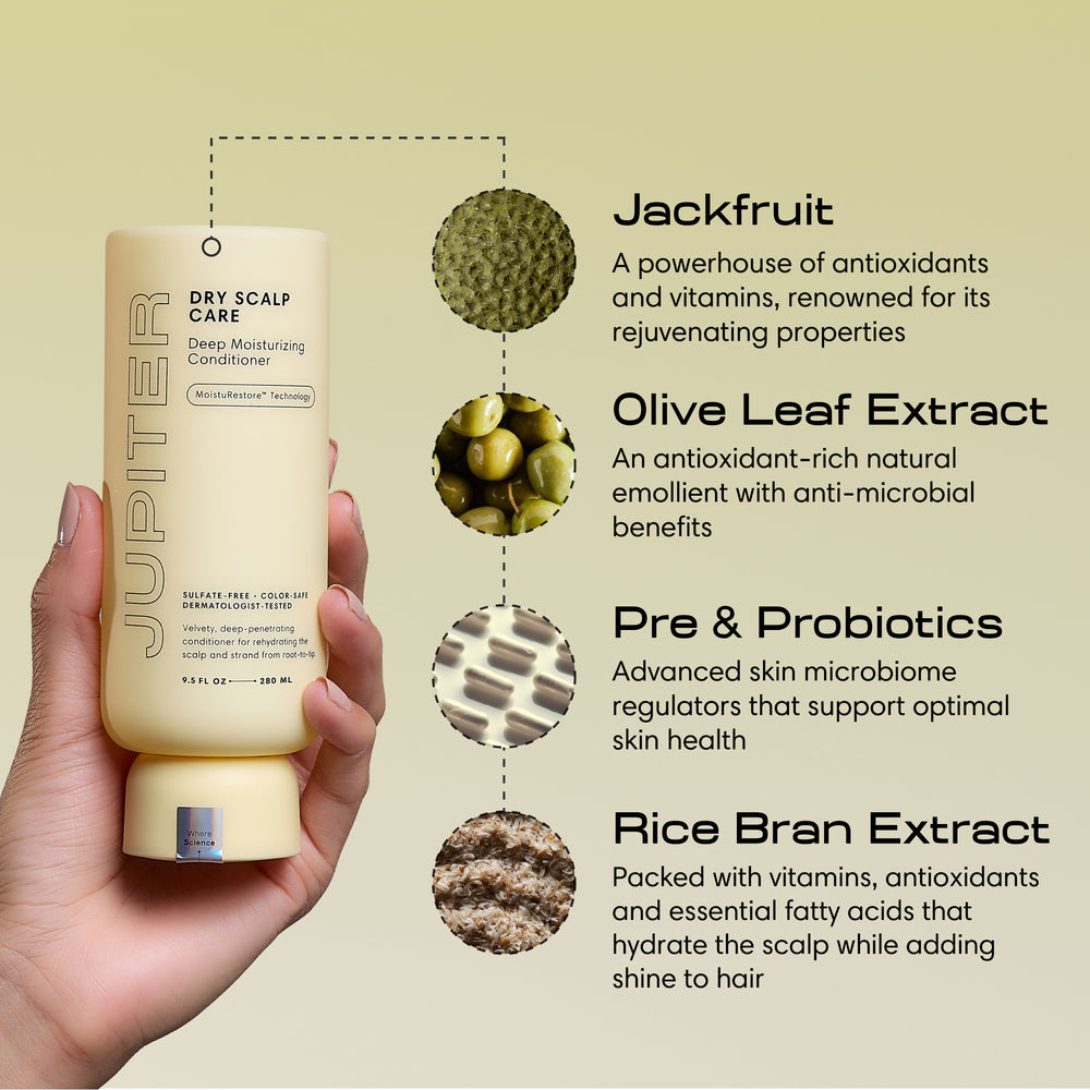 Deep Moisturizing Conditioner