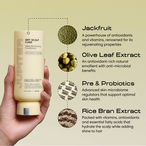 Deep Moisturizing Conditioner