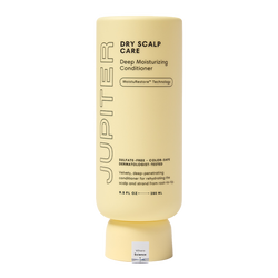 Dry Scalp Conditioner