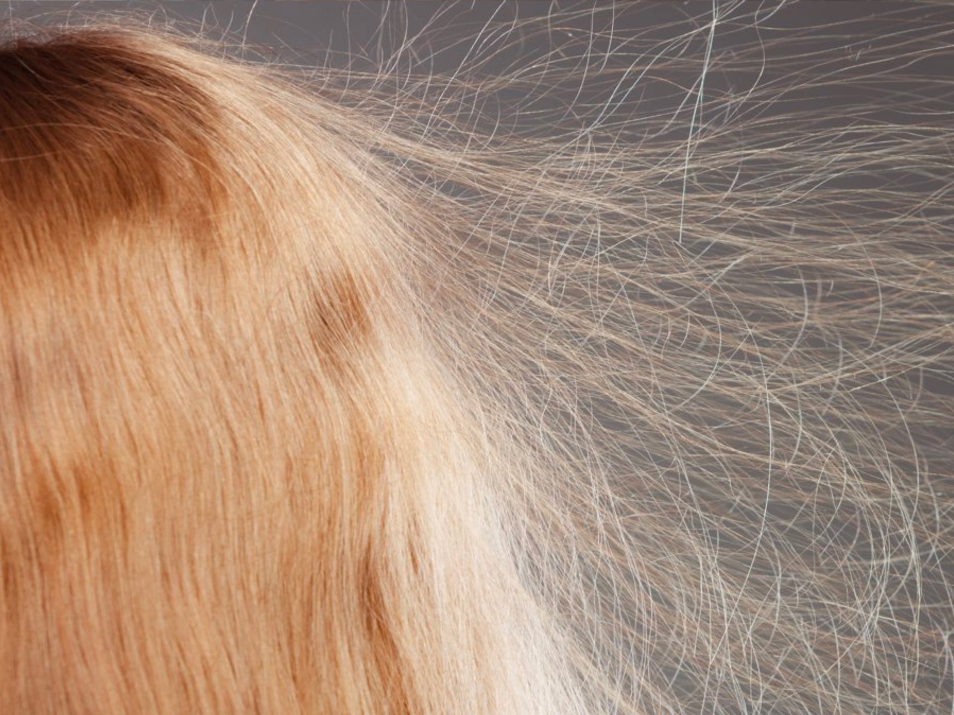 Cozy Cold Season Looks That Shine. Winter Hair Inspo for Long and Short Hairstyles 2 https://hellojupiter.com/cdn/shop/articles/12_Ways_to_Combat_Hair_Static_in_the_Winter_5107ee99-5b38-4cbd-ba3f-c73297b06c61.jpg?v=1763665390