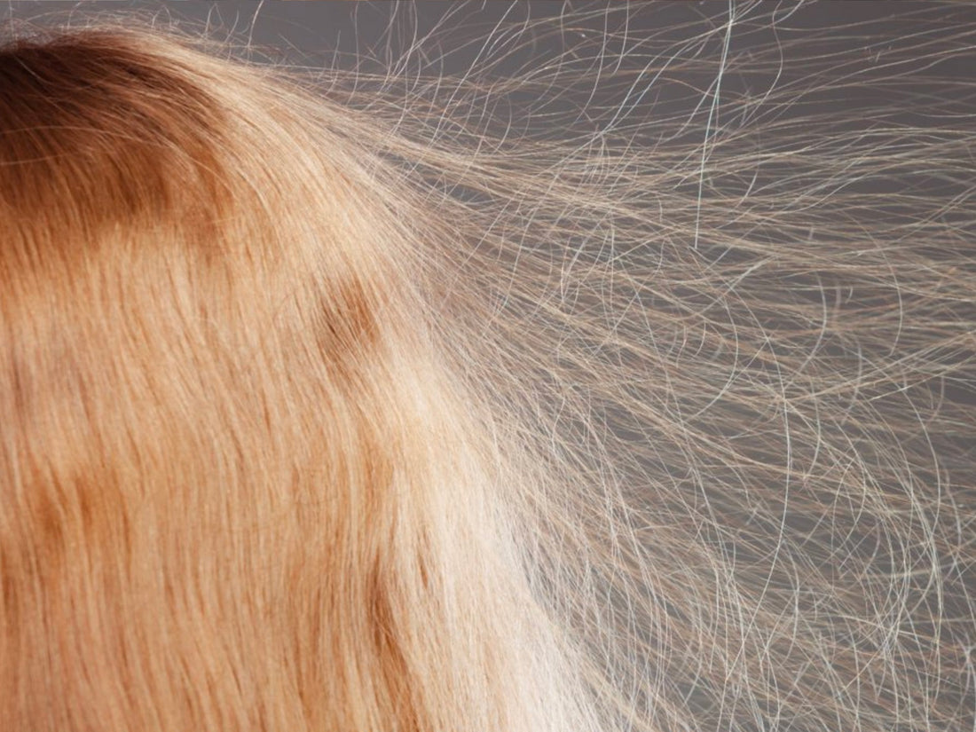Photo of woman with static hair
