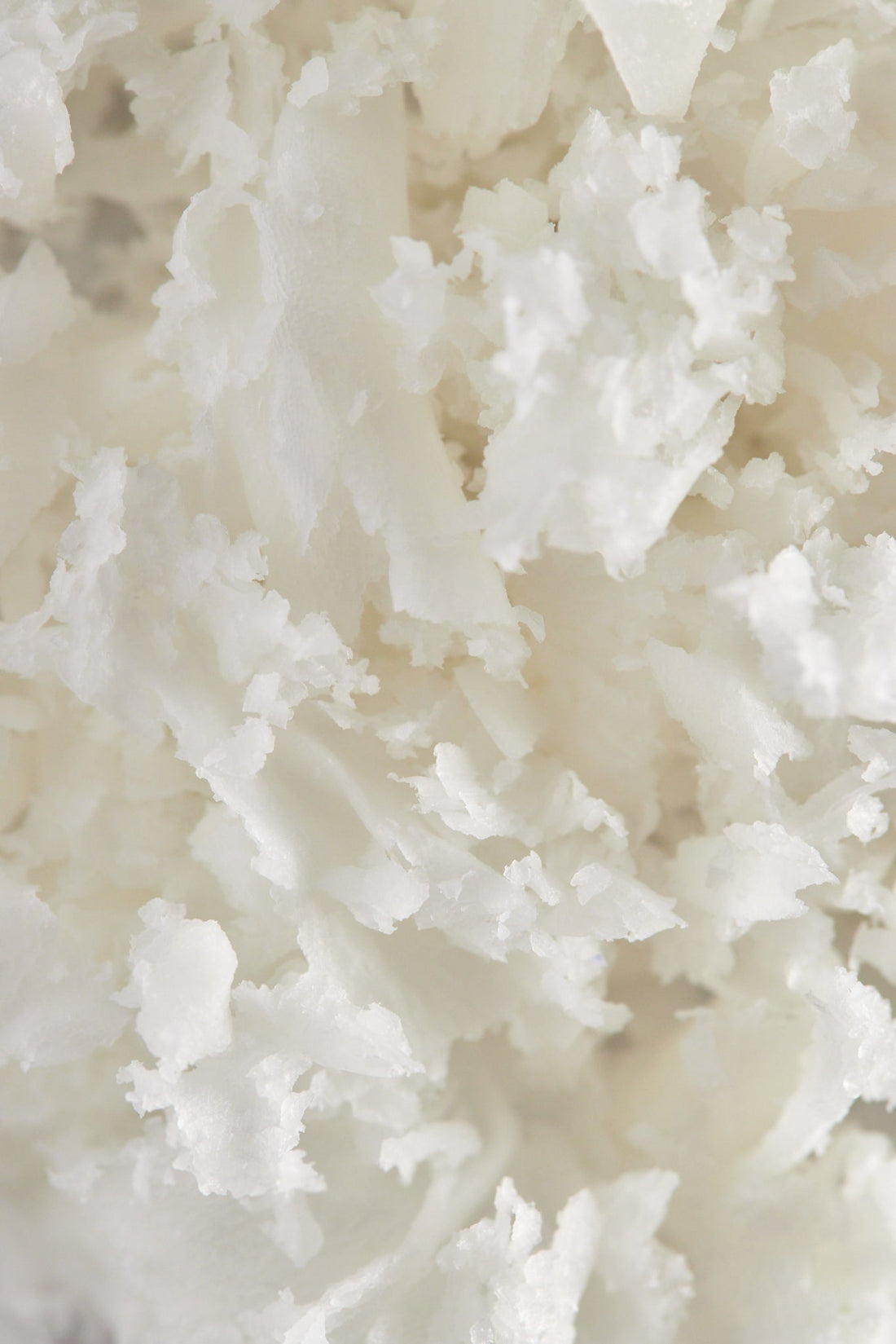 Image of dried coconut meat