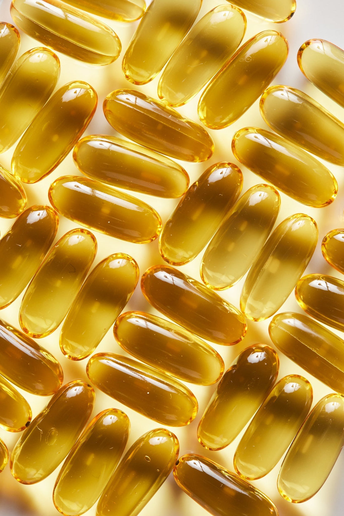 Probiotics for Scalp Health: What You Should Know