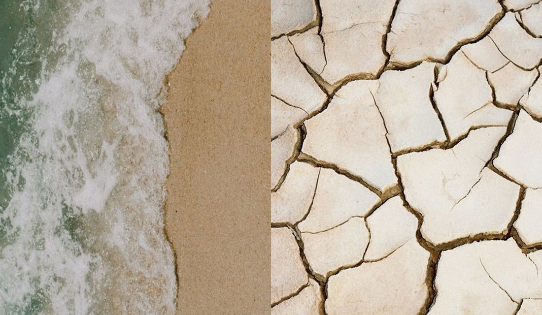 Image of a soft, wave crashing on the shore and dry, cracked land