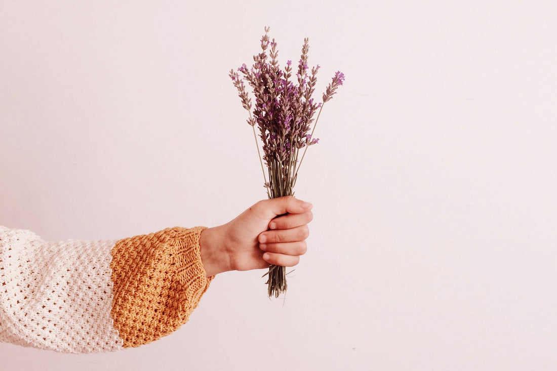 Lavender for hair & scalp care: why & how it helps