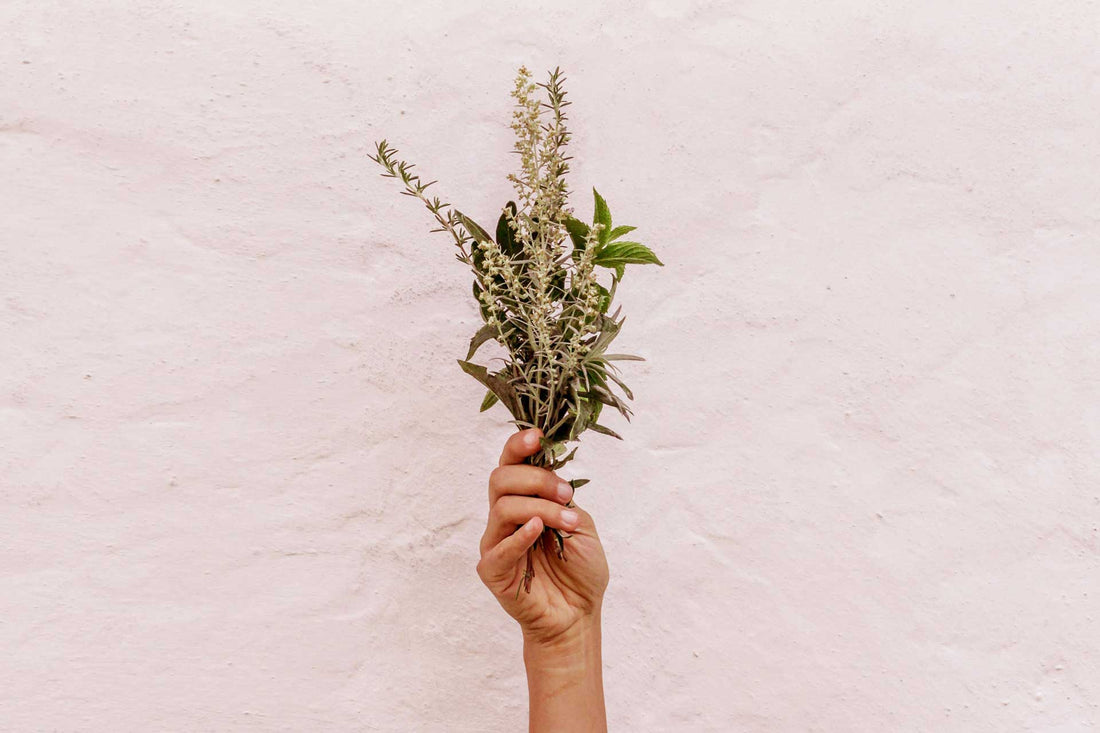 Rosemary for dandruff: checking the facts