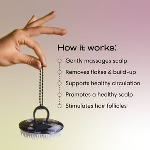 Complete Moisture Reset