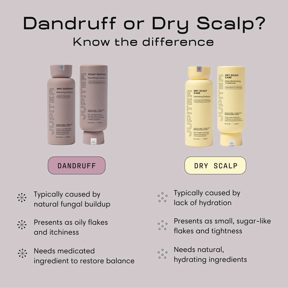 Oil Control + Exfoliation Set
