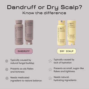 Oil Control + Exfoliation Set