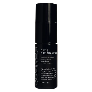 Day 2 Dry Shampoo