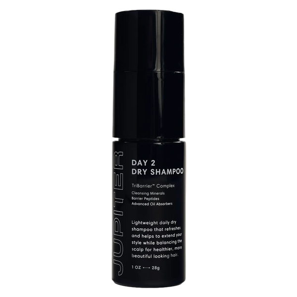 Day 2 Dry Shampoo
