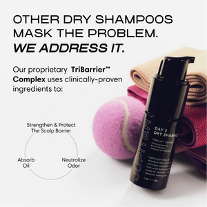 Day 2 Dry Shampoo + Flake Free Duo