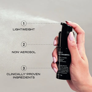 Day 2 Dry Shampoo