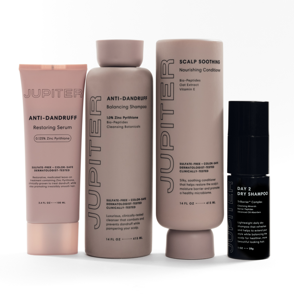 Day 2 Dry Shampoo + Advanced Oil Control Trio